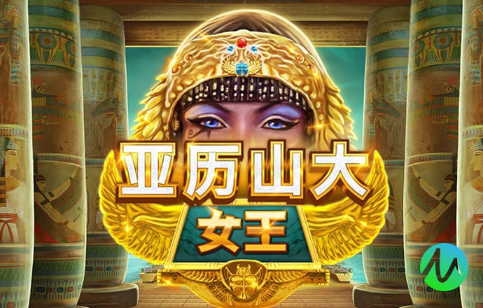 精彩网官网下载安装手机版